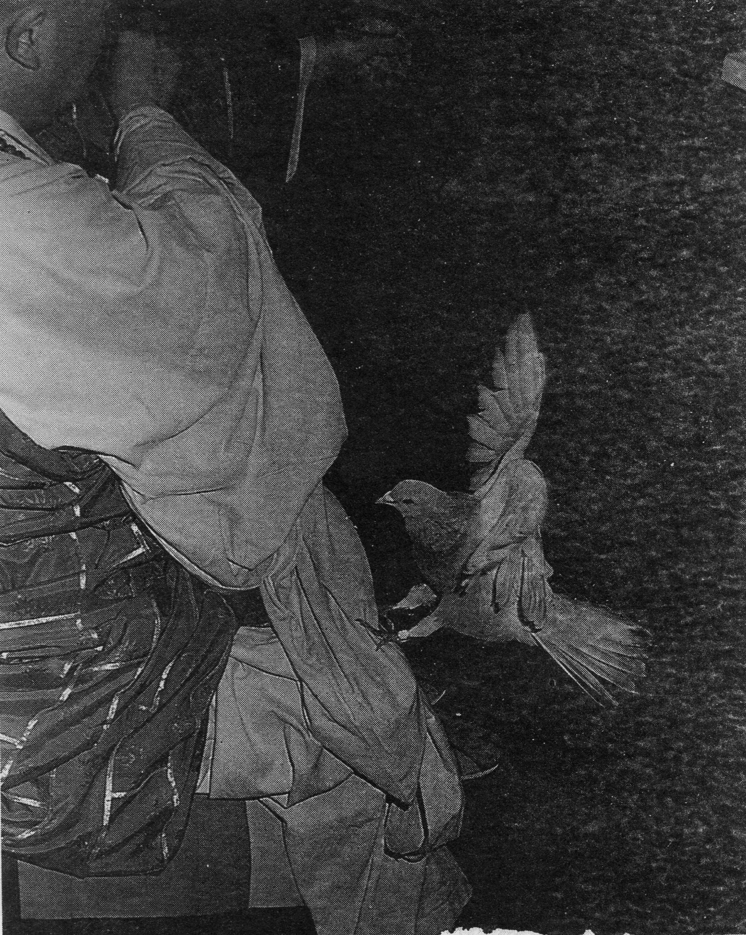 宣化老和尚追思纪念专集2 - 菩萨幻化 头陀行迹．In Memory of the Venerable Master Hsuan Huan - Transformation of a Bodhisattva,