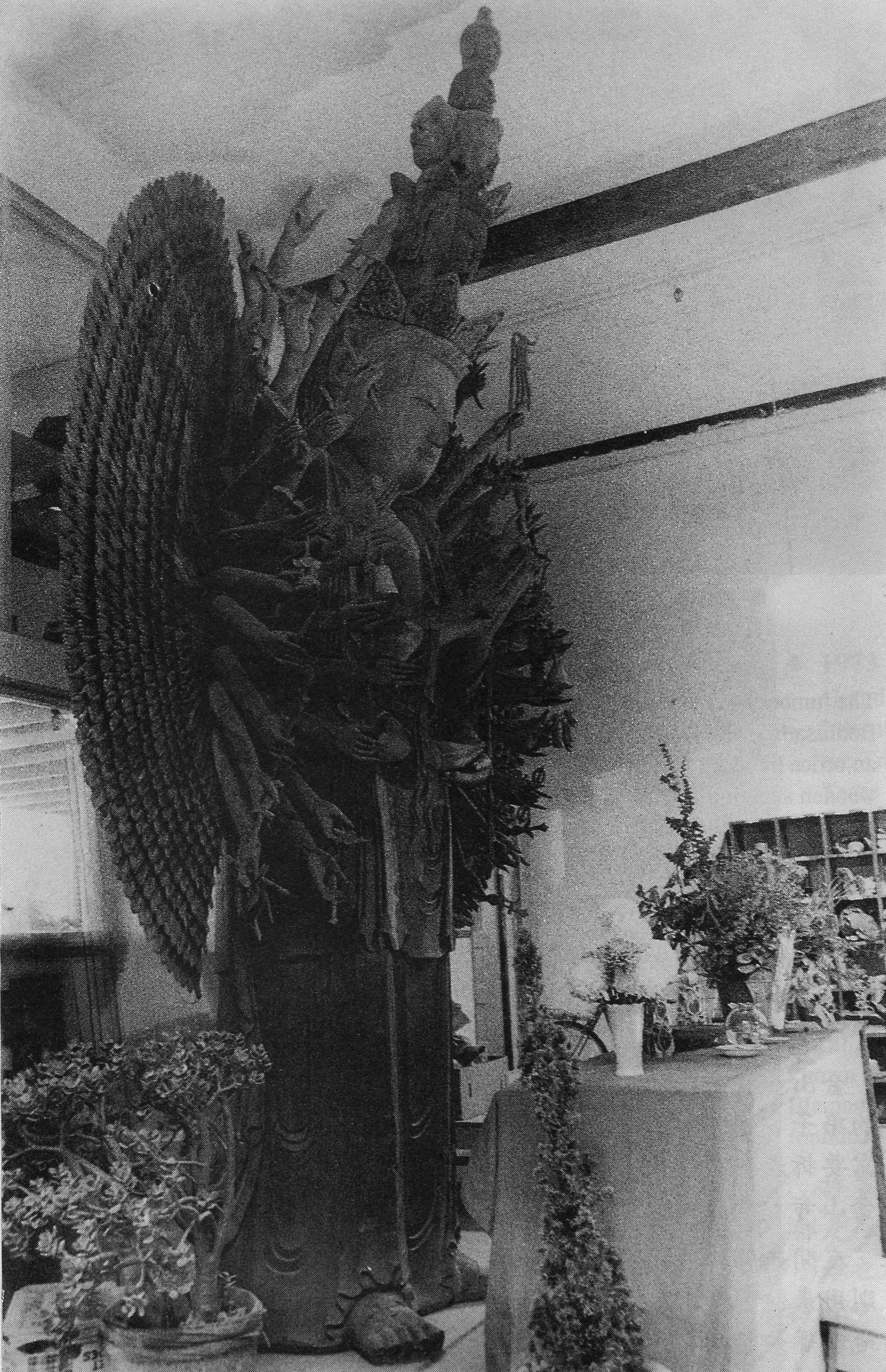 宣化老和尚追思纪念专集2 - 菩萨幻化 头陀行迹．In Memory of the Venerable Master Hsuan Huan - Transformation of a Bodhisattva,